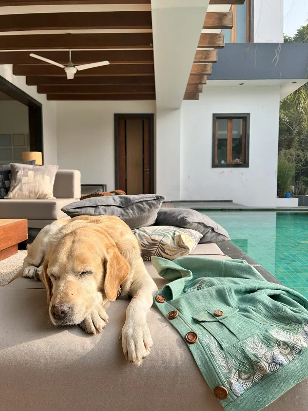 Art Retreat India