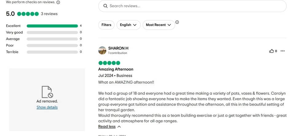 trip advisor review