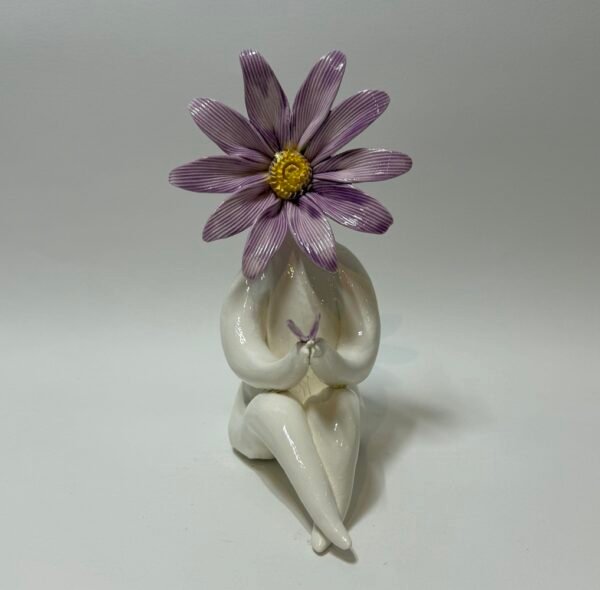 Mrs Aster September Month Flower