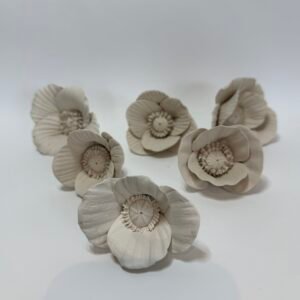 6 ceramic poppies to paint