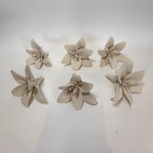 6 lillys