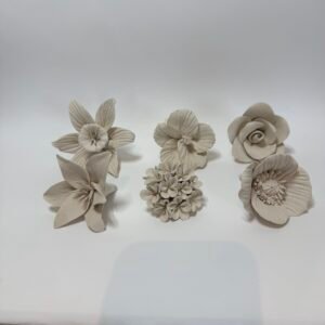 6 random flowers to paint
